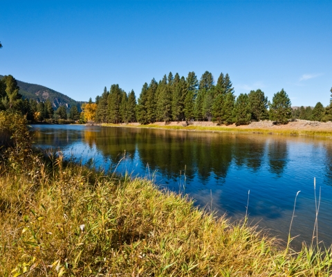 Tranquil river with tree-lined banks and clear blue sky in Clinton, Montana