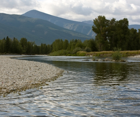 Winding river with scenic mountain views in Florence, Montana