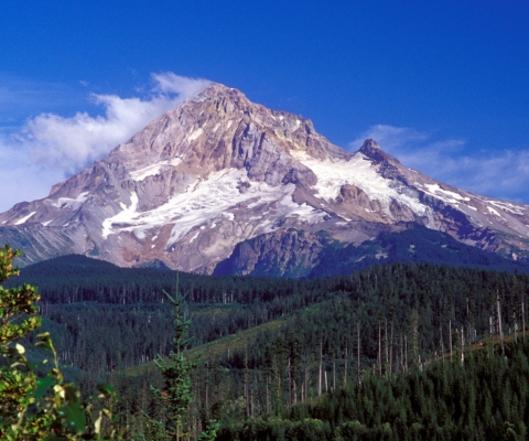 Majestic mountain with forested base in Lolo, Montana