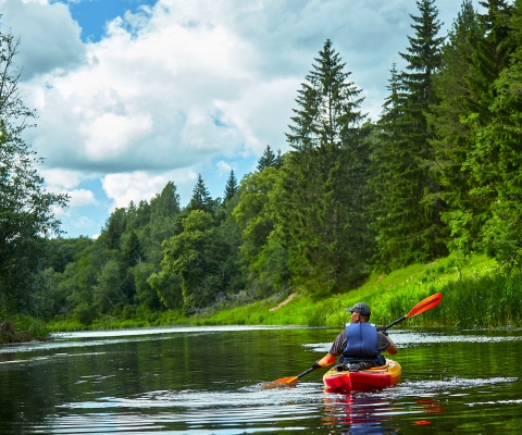 Person kayaking on a peaceful river with lush green trees in Potomac, Montana